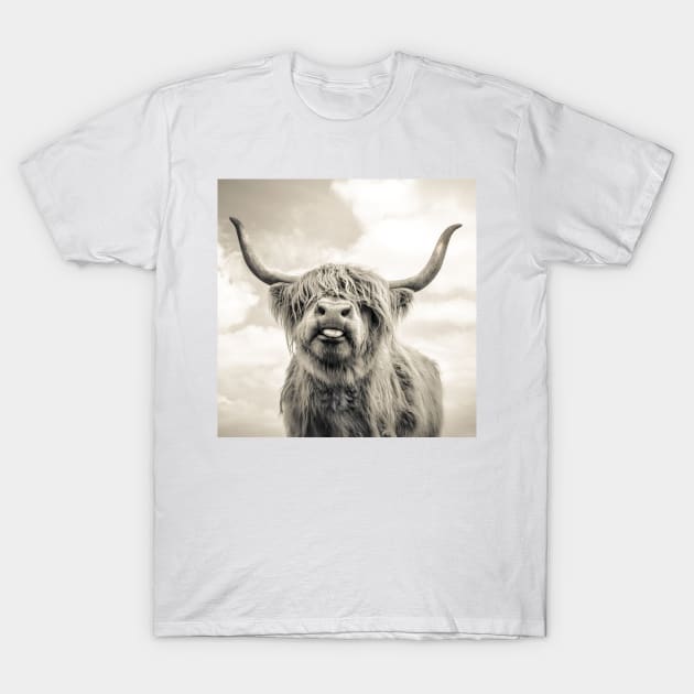 Cheeky Highland Cow T-Shirt by wildtribe